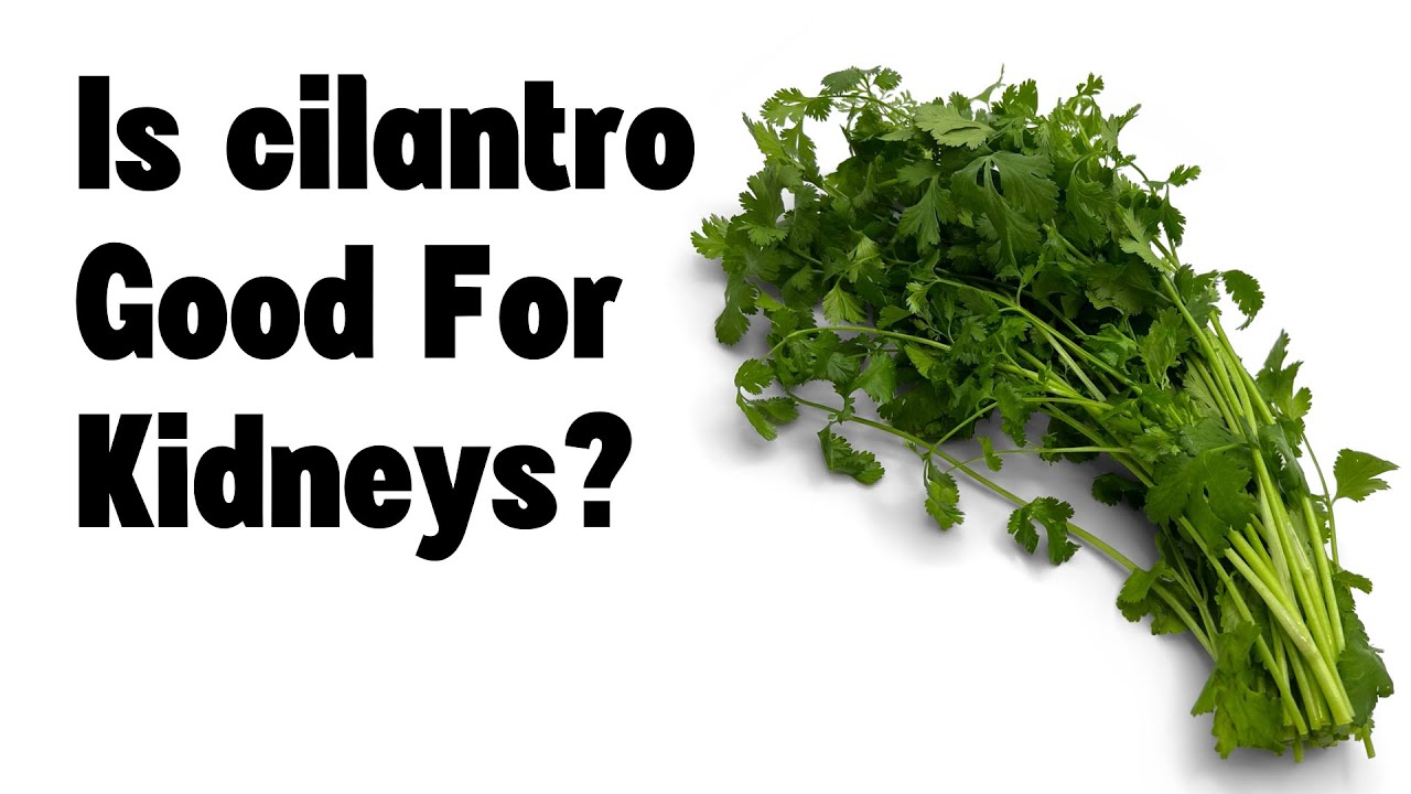 Is Cilantro good for kidneys? | Kidney Foodie
