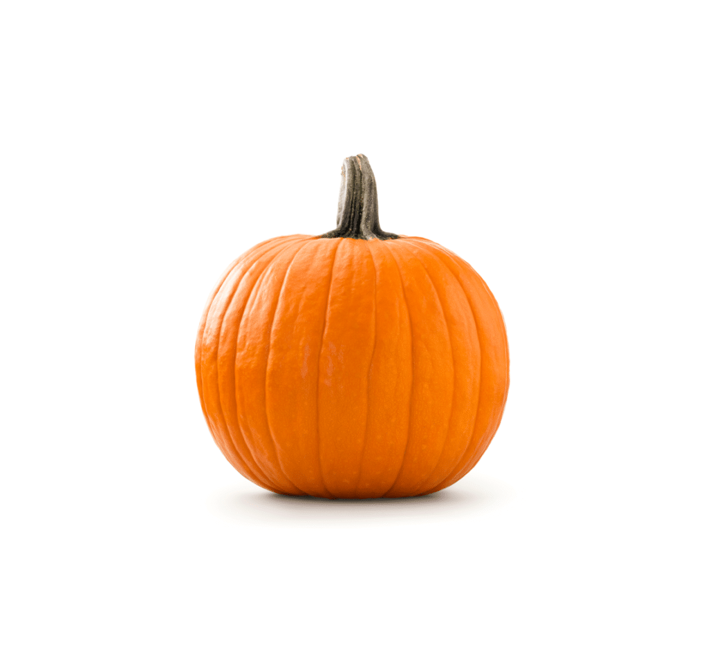 high potassium vegetable pumpkin