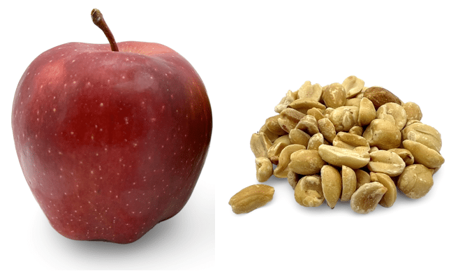 kidney and diabetes friendly meal plan snack idea apple and peanuts