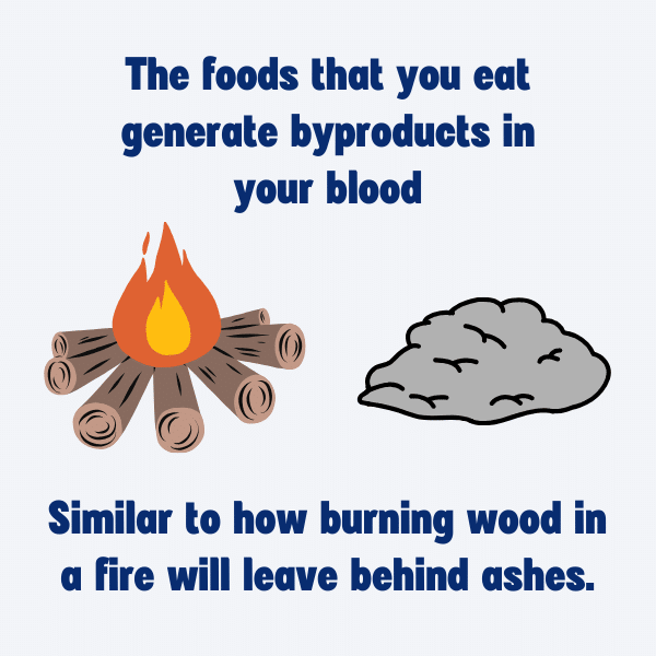 Foods generate byproducts in your blood