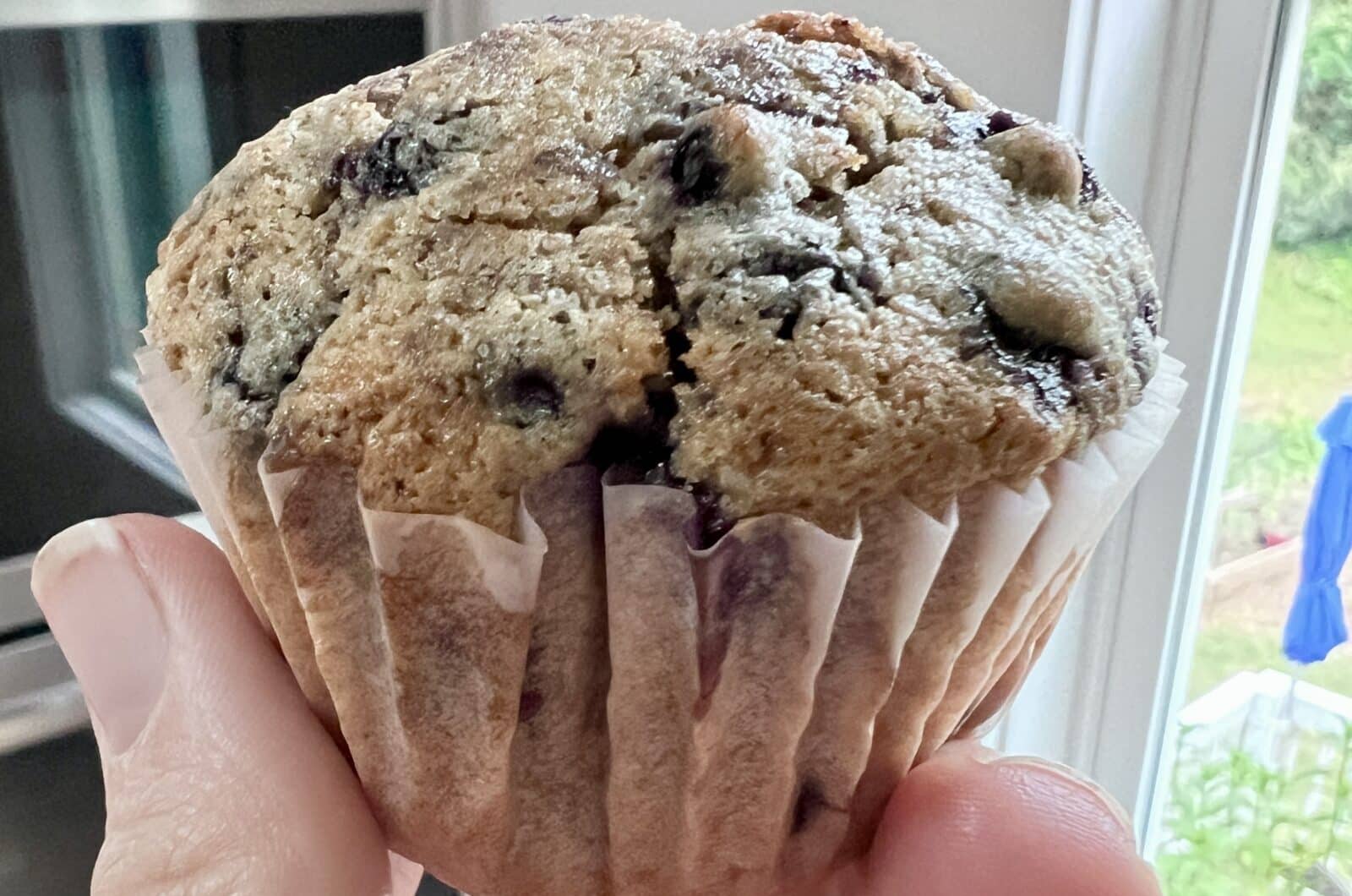 Kidney Friendly Blueberry Muffins
