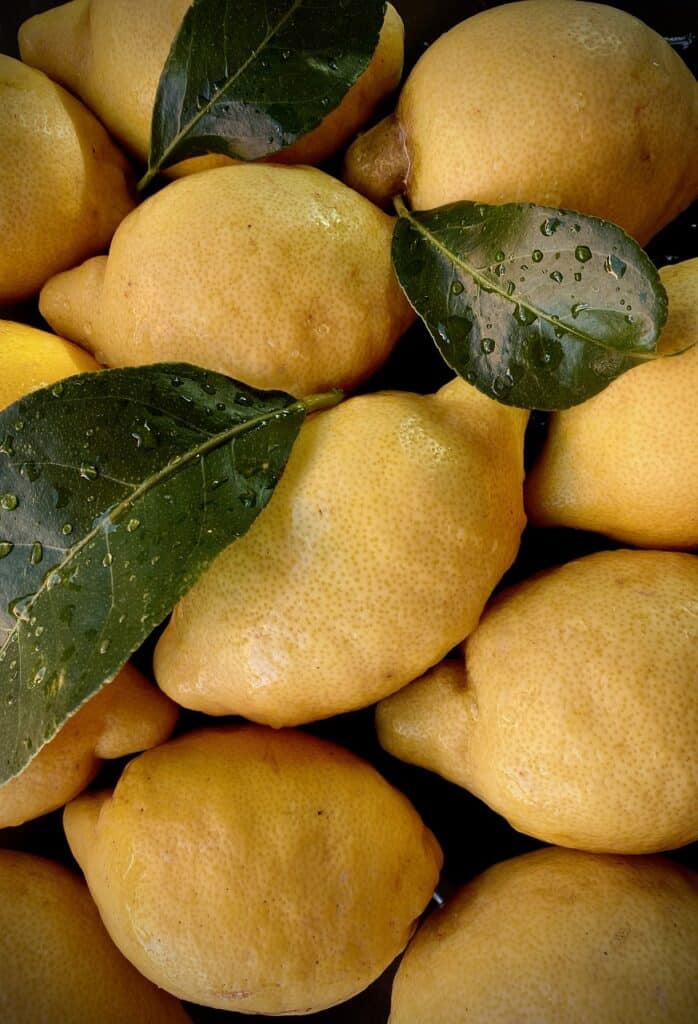 lemons, yellow, fruits, lemon cake, vegan, lemon cake, lemon cake, lemon cake, lemon cake, lemon cake